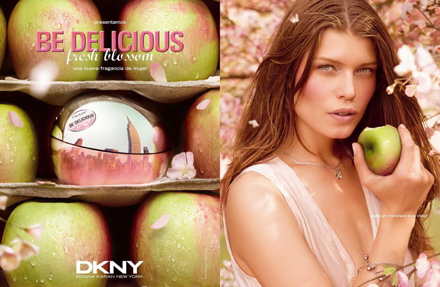 Parfüümvesi Donna Karan DKNY Be Delicious Fresh Blossom EDP naistele 50 ml цена и информация | Parfüümid naistele | hansapost.ee