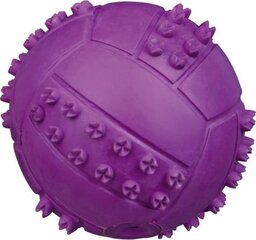 Kummist pall Trixie, 9.5 cm price and information | Toys for dogs | hansapost.ee