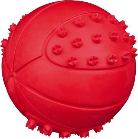 Kummist pall Trixie, 9.5 cm цена и информация | Koerte mänguasjad | hansapost.ee
