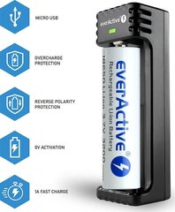 EverActive Universal — 1 зарядное устройство для литий-ионных аккумуляторов LC100 цена и информация | Зарядные устройства для аккумуляторов | hansapost.ee