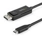 StarTech.com, USB C to DisplayPort, 2 m hind ja info | Juhtmed ja kaablid | hansapost.ee