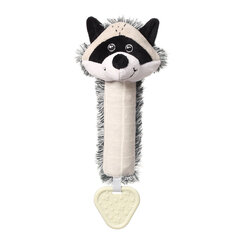 Piuksuv mänguasi Racoon Rocky BabyOno 746 price and information | Toys for babies | hansapost.ee