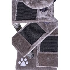 Когтеточка для кошек Kenzo, серый цвет цена и информация | Когтеточки | hansapost.ee