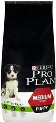 PRO PLAN KUTSIKA TÄISSÖÖT KESKM.TÕUG KANA 12KG hind ja info | Purina Lemmikloomatarbed | hansapost.ee