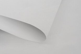 Rulookardin, 80x240 cm, 100% pimendav цена и информация | Рулонные шторы | hansapost.ee