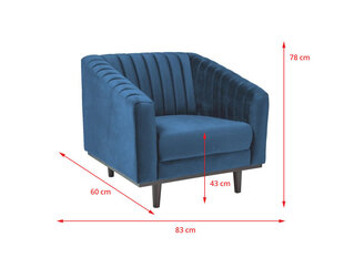 Кресло Signal Meble Asprey 1, синее цена и информация | Кресла | hansapost.ee