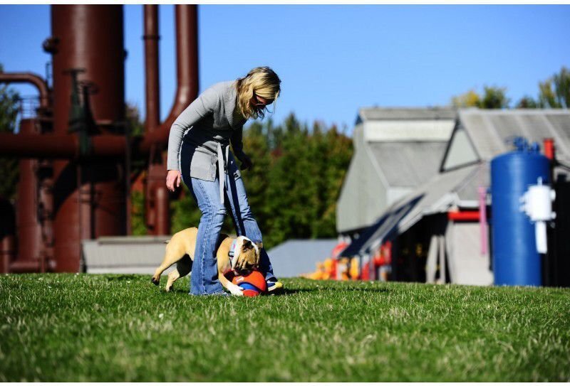 CHUCKIT KOERA MÄNGUASI PALL KICK FETCH S hind ja info | Koerte mänguasjad | hansapost.ee