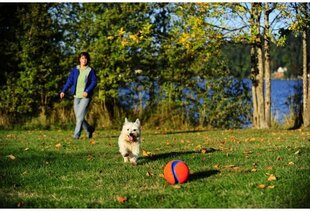 CHUCKIT игрушка для собак, мяч, KICK FETCH S цена и информация | Игрушки для собак | hansapost.ee