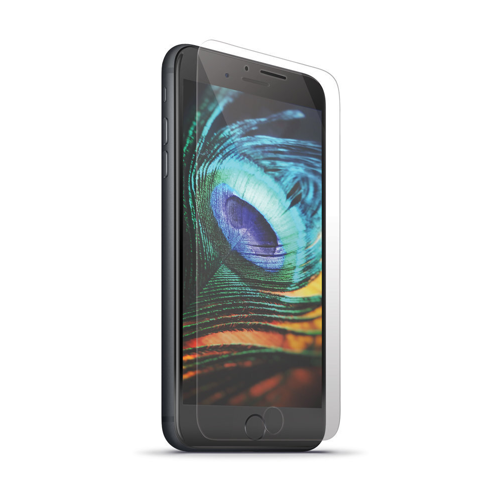 Kaitseklaas Forever    Huawei    Y6 2019 Tempered Glass hind ja info | Ekraani kaitseklaasid ja kaitsekiled | hansapost.ee