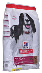 HILLS KOERA TÄISSÖÖT KESK.TÕUG LAMMAS/RIIS 14KG price and information | Dry dog food and crisps | hansapost.ee