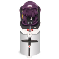 Turvatool Lorelli Pegasus, Isofix, 0-36 kg, Grey&Violet hind ja info | Lorelli Beebikaubad | hansapost.ee