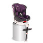 Turvatool Lorelli Pegasus, Isofix, 0-36 kg, Grey&Violet hind ja info | Turvatoolid ja turvahällid | hansapost.ee