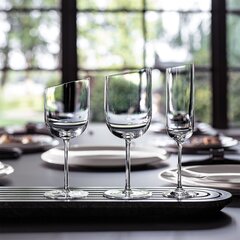 Villeroy & Boch punase veini klaas NewMoon 410ml, 4 tk цена и информация | Стаканы, фужеры, кувшины | hansapost.ee