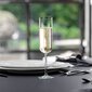 Villeroy & Boch Šampanjaklaas NewMoon 0,17l, 4tk цена и информация | Klaasid, kruusid ja kannud | hansapost.ee