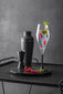 Villeroy & Boch Vahuveini/šampanjaklaasid Manufacture Rock, 0,26l, 4 tk цена и информация | Klaasid, kruusid ja kannud | hansapost.ee