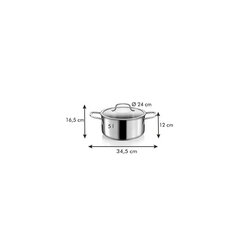 Tescoma kaanega pott Optima, 5 l цена и информация | Кастрюли, скороварки | hansapost.ee