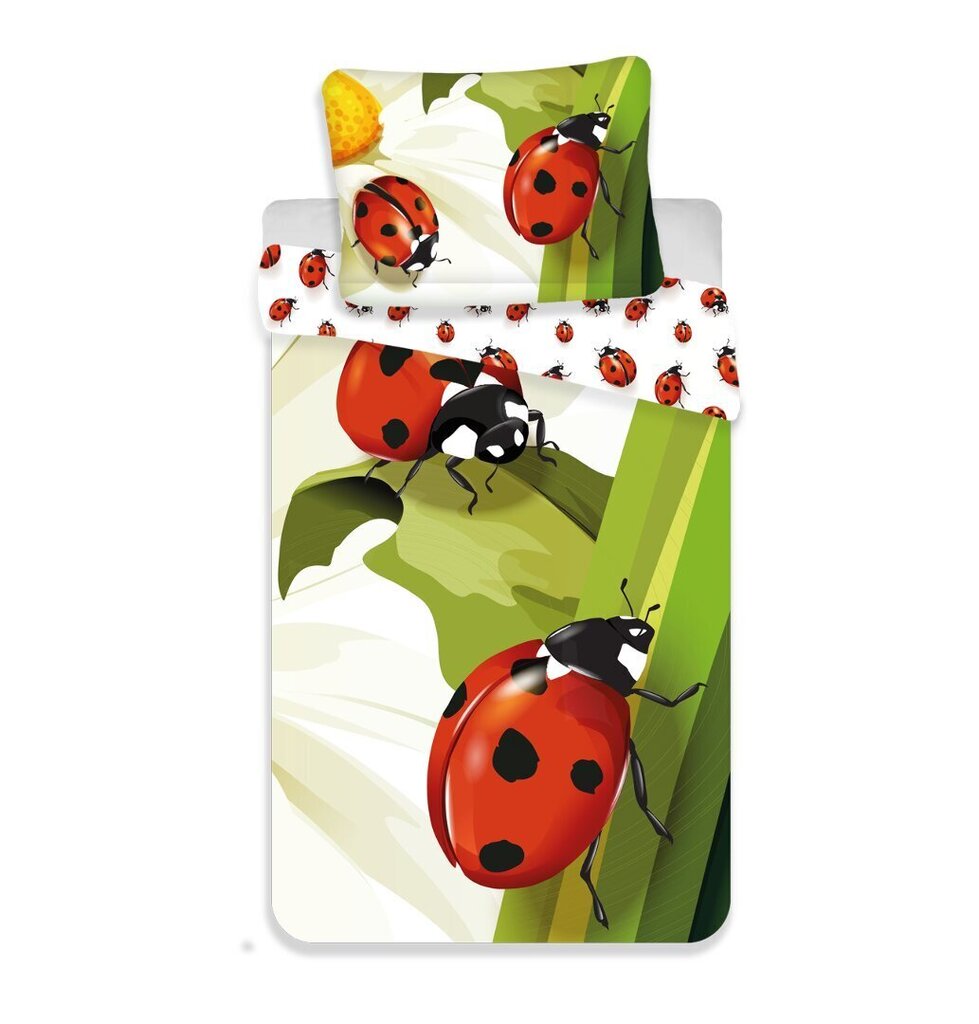 Voodipesukomplekt Ladybug 140 x 200 cm + padjapüür 70 x 90 cm цена и информация | Laste voodipesu | hansapost.ee