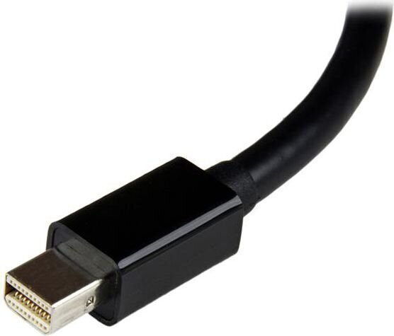 Adapter StarTech MDP2DVI3, DisplayPort Mini - DVI-I price and information | USB adapterid ja jagajad | hansapost.ee