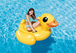 Täispuhutav parv Intex Yellow Duck Ride-On hind ja info | Täispuhutavad veemänguasjad ja ujumistarbed | hansapost.ee