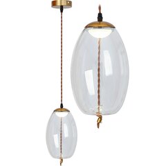 LED rippvalgusti Modern Knot A, Transparent price and information | Pendant lights | hansapost.ee