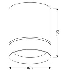 Laevalgusti Candellux 2282770 hind ja info | Laelambid | hansapost.ee