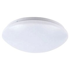 LED laevalgusti Urania, 33 cm, White цена и информация | Потолочные светильники | hansapost.ee