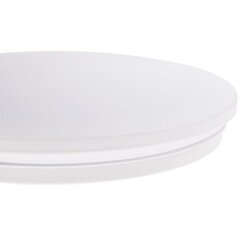 LED laevalgusti Urania, 38 cm, White price and information | Ceiling lamps | hansapost.ee