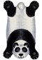 Narma vaip Panda, 70 x 110 cm hind ja info | Vaibad | hansapost.ee