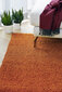 Narma narmasvaip Spice, caramel, 120 x 160 cm hind ja info | Vaibad | hansapost.ee