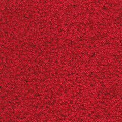 Narma narmasvaip Aruba, punane, 80 x 150 cm hind ja info | Vaibad | hansapost.ee