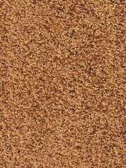 Narma narmasvaip Spice, caramel, 160 x 240 cm hind ja info | Vaibad | hansapost.ee