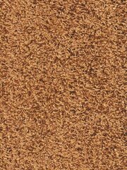 Narma ковровая дорожка Spice 80x160 см цена и информация | Коврики | hansapost.ee