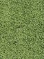 Narma narmasvaip Spice, roheline, 300 x 400 cm hind ja info | Vaibad | hansapost.ee