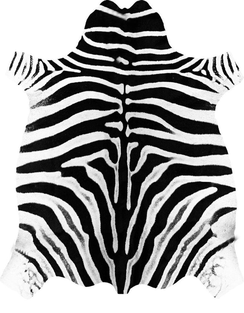 Vercai Rugs vaip Nova Skin, zebra, 155 x 200 cm цена и информация | Vaibad | hansapost.ee