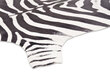 Vercai Rugs vaip Nova Skin, zebra, 155 x 200 cm hind ja info | Vaibad | hansapost.ee