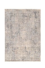 Vercai Rugs vaip Trend, beež, 200 x 290 cm hind ja info | Vaibad | hansapost.ee