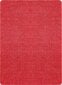 Narma narmasvaip Aruba, punane, 200 x 300 cm hind ja info | Vaibad | hansapost.ee