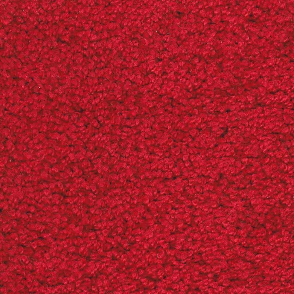 Narma narmasvaip Aruba, punane, 200 x 300 cm цена и информация | Vaibad | hansapost.ee