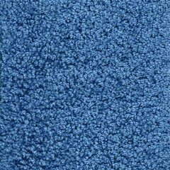 Narma narmasvaip Aruba, sinine, 160 x 240 cm цена и информация | Ковры | hansapost.ee