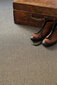 Narma flatWeave™ -silesidusvaip Credo, pruun, 80 x 160 cm цена и информация | Vaibad | hansapost.ee