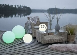 Декоративный светильник для сада Twilights 25 см цена и информация | Уличные светильники | hansapost.ee