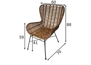 Söögitool Rattan, naturaalne цена и информация | Стулья для кухни и столовой | hansapost.ee