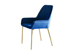 Комплект обеденных стульев, 2 шт., Синий цена и информация | Стулья для кухни и столовой | hansapost.ee