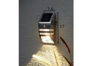 Светильник Wally, настенный, с солнечной панелью цена и информация | Уличное освещение | hansapost.ee