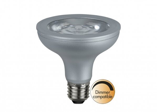 LED elektripirn E27, 10W цена и информация | Lambipirnid ja LED-pirnid | hansapost.ee