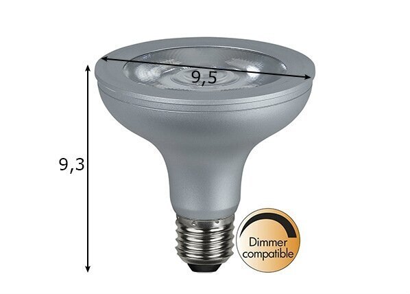 LED elektripirn E27, 10W цена и информация | Lambipirnid ja LED-pirnid | hansapost.ee