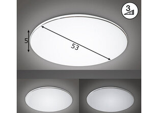 Laelamp Aldo LED 891092954 hind ja info | Laelambid | hansapost.ee