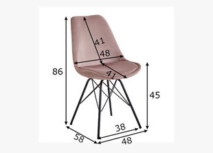 Söögitoolide komplekt Skandinavisch, 2tk, roosa цена и информация | Стулья для кухни и столовой | hansapost.ee