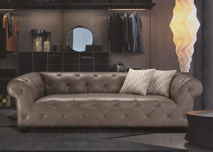 Diivan Sofa, hall hind ja info | Diivanvoodid ja diivanid | hansapost.ee