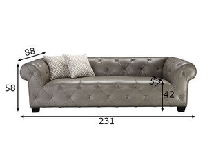 Diivan Sofa, hall hind ja info | Diivanvoodid ja diivanid | hansapost.ee